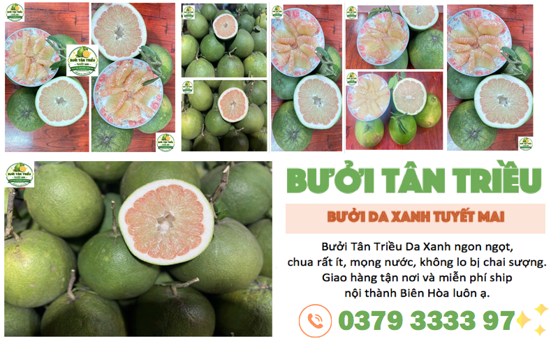 Đặc Sản Bưởi Tân Triều