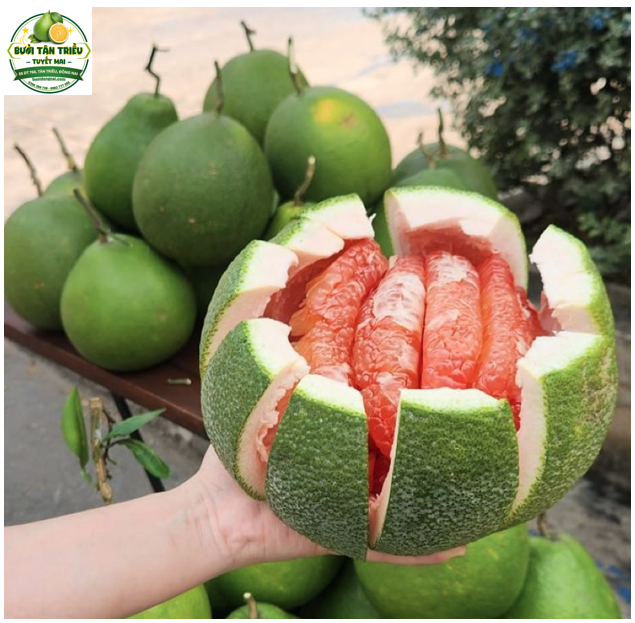Đặc Sản Bưởi Tân Triều