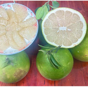 Set 06 Trái Đường Lá Cam Loại 1 (1,1kg -  gần1,3kg) (1)