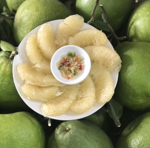 BƯỞI ĐƯỜNG LÁ CAM TÂN TRIỀU RUỘT TRẮNG