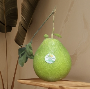 Set 12 Trái Đường Lá Cam Loại Đặc Biệt (1.3kg - 1.5kg)